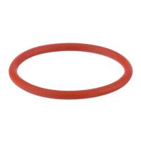 Кольцо ПТК уплотнительное IPT 100 NKS0002