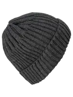 Шапка BRODEKS fleece warming