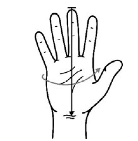 Таблица для определения размера перчаток ESAB Таблица для определения размера перчаток ESAB