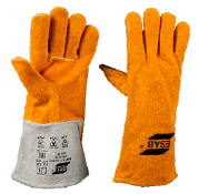 HD Regular HD Regular