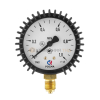 Манометр ПТК 1,0 МПа, ф 63 мм, G1/4, углекислота (001.050.918)