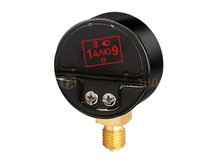 Манометр Сварог ТМ-210Р 0,6 МПа 0-40/14 л/мин Ar, Аргон