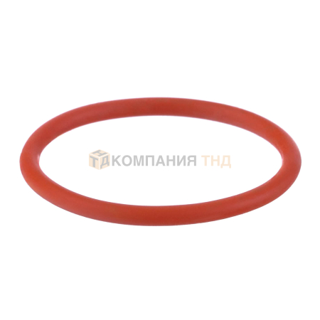 Кольцо ПТК уплотнительное IPT 100 NKS0002 (075.511.904)